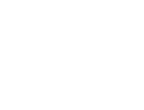 Logo weiß